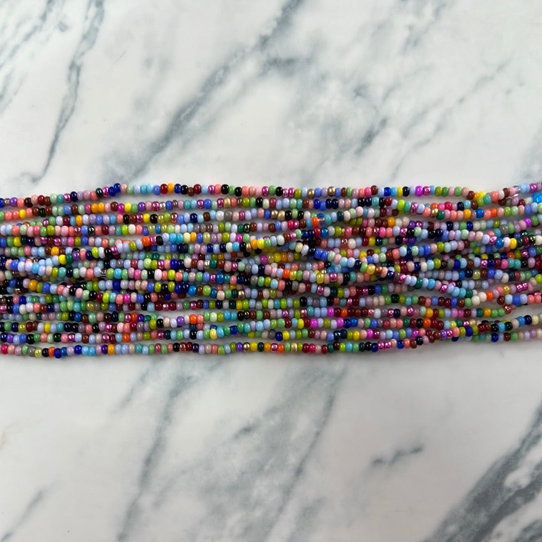 Chaquirita multicolor